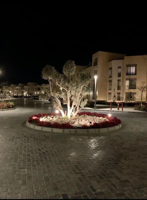 Ferienwohnung Mangroovy - 1Br Lovely Loggia Wz Marina View Hurghada Exterior foto